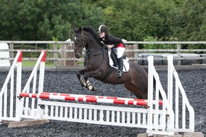 Class 6 - Fences not above 2'9